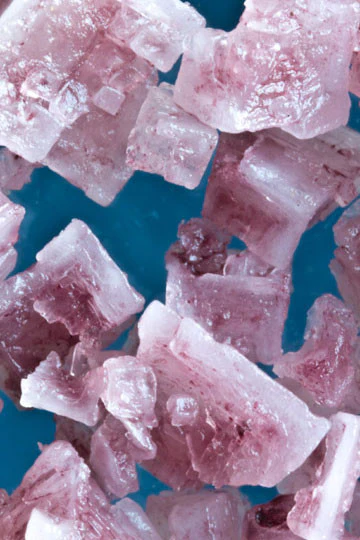 Sokol Blosser Pinot Noir Salt - Image 6